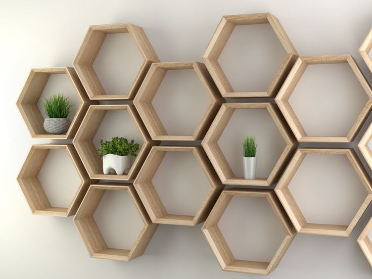 hexagonal shelves with plants in them on the wall