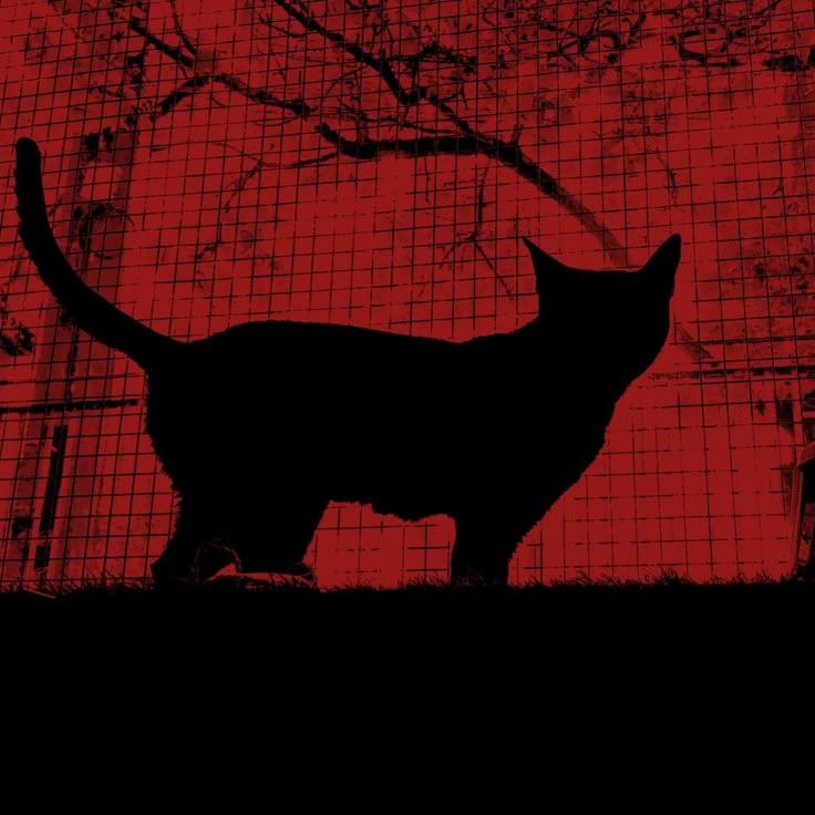 a black cat standing on top of a grass covered hill next to a tree and fence