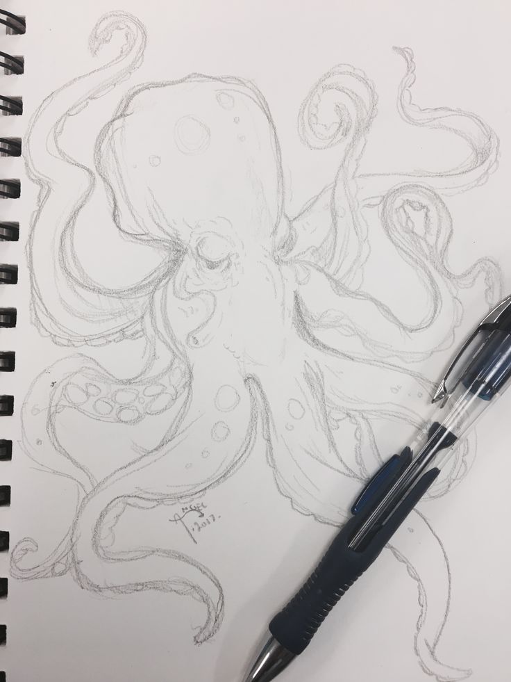 an octopus drawing on paper with a pen