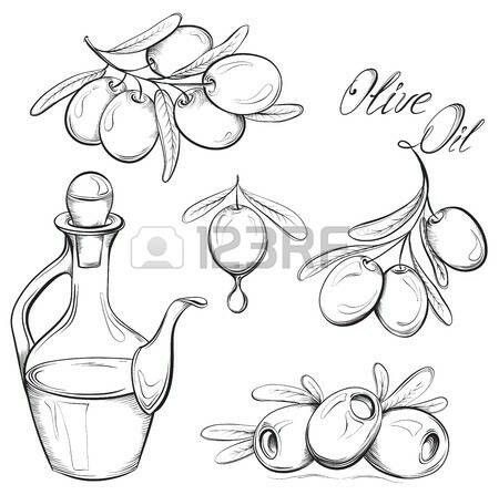 olive oil in a glass bottle and an olive branch with leaves, hand drawn sketch