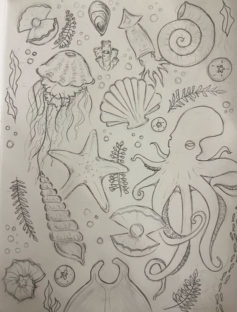 a drawing of sea animals and other marine creatures