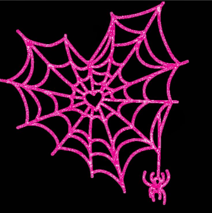 pink spider web on black background