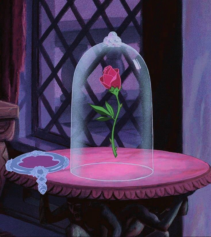 a pink table with a glass cover and a red rose on it, sitting in front of a window