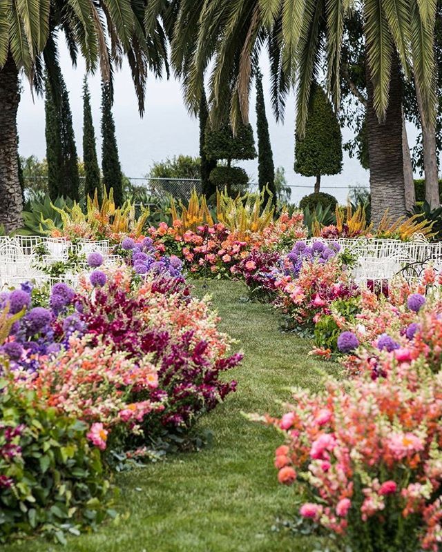 rows of chairs are lined up in front of palm trees and flowers on the lawn