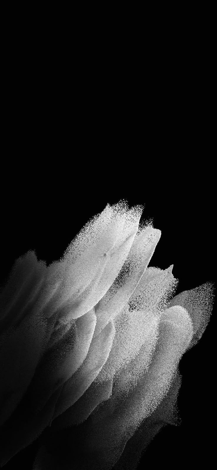 a black and white photo of a flower