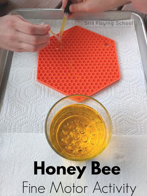 the honey bee fine motor activity for toddlers