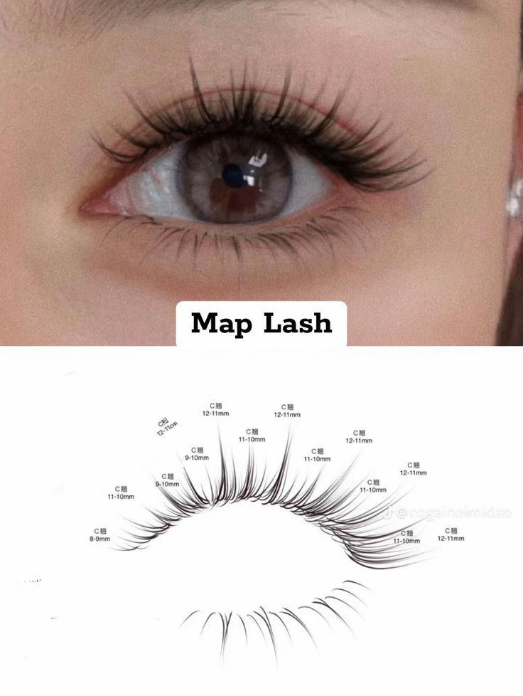 Lash Mapping Asian Eyes, Wispy Lash Mapping Eyelash Extensions, Asian Eyelash Extensions Mapping, Light Wispy Eyelash Extensions Mapping, Lash Animation, Manga Lash Extension Map, Natural Lash Map Clusters, Manga Lash Map, Anime Lash Map