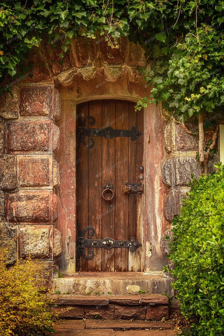 an old wooden door surrounded by greenery