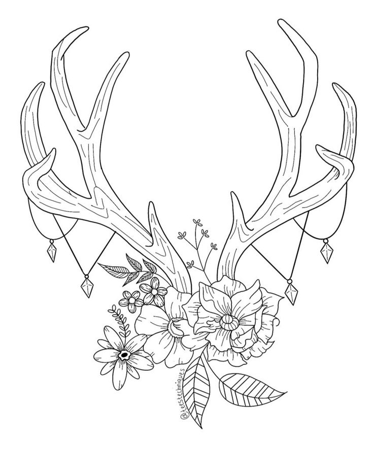 a deer's antlers with flowers and leaves