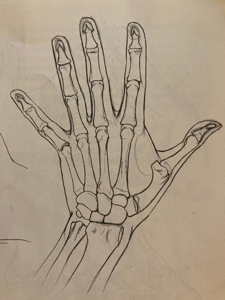 a drawing of a hand that has been drawn in pencil and is being held up