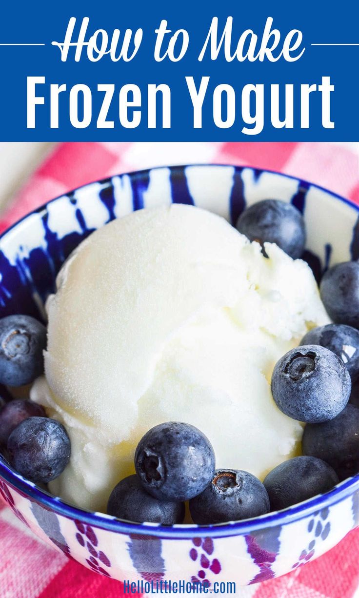 blueberries and ice cream in a bowl with the words how to make frozen yogurt