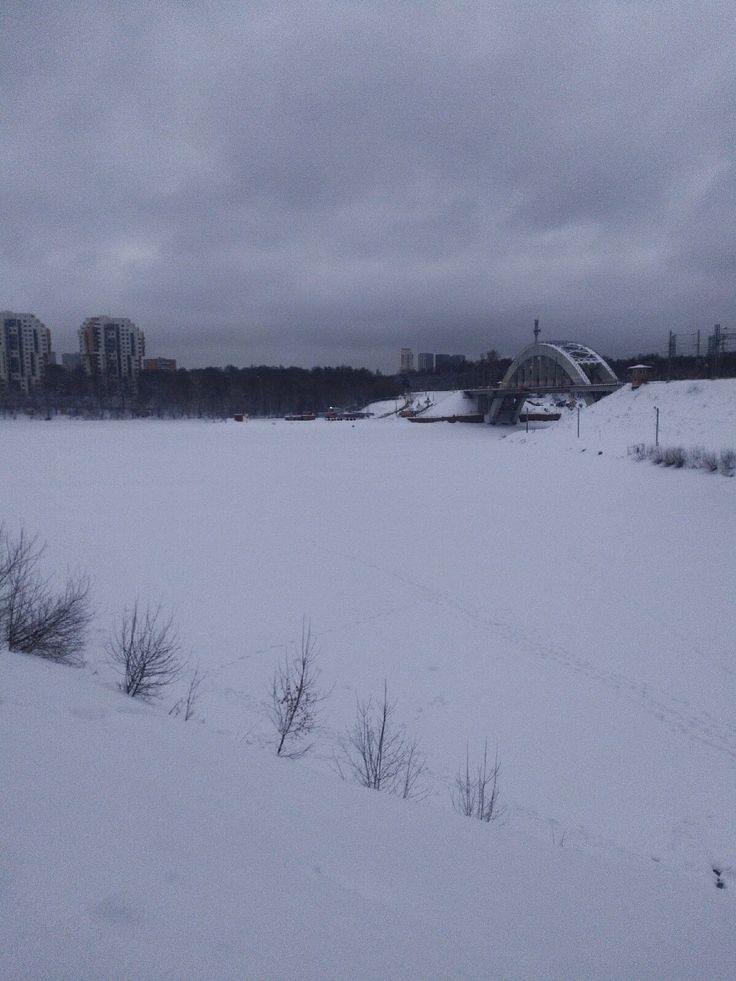 a snow covered field with trees and buildings in the background on a gloomy day