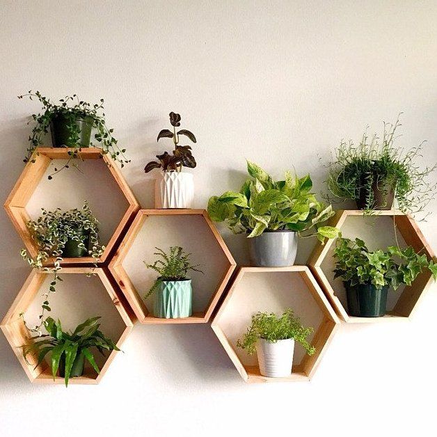 several hexagonal shelves with plants in them on a white wall behind the planters