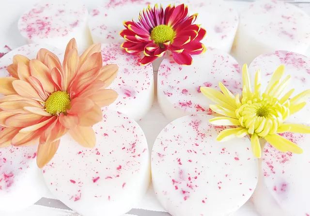 Wax Melts | In Nature's Name | Vegan & Cruelty-free | Freckleton Nature Names, 25 Hours, Biodegradable Packaging, Wax Melts, Cruelty Free, Biodegradable Products, Wax, Ethnic Recipes, Health