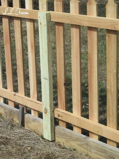 a sheep standing next to a wooden fence