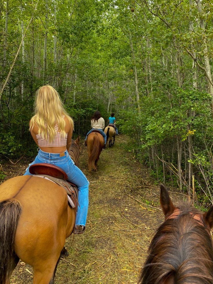 three people are riding horses through the woods