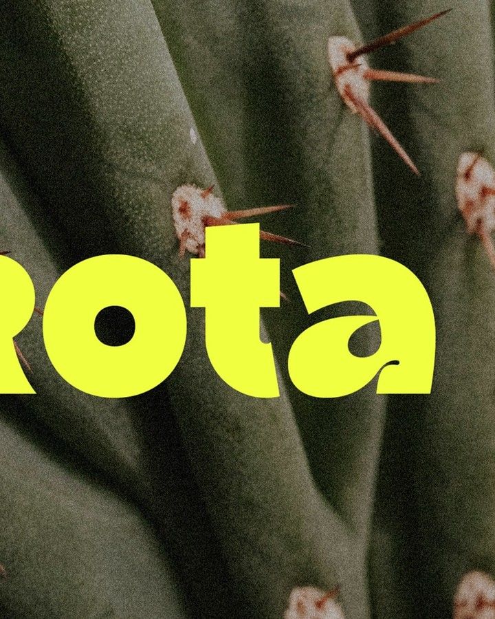 the word rota is written on top of a cactus