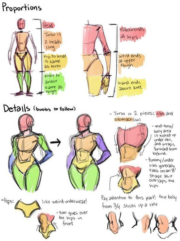 the back view of a woman's body and how to draw it