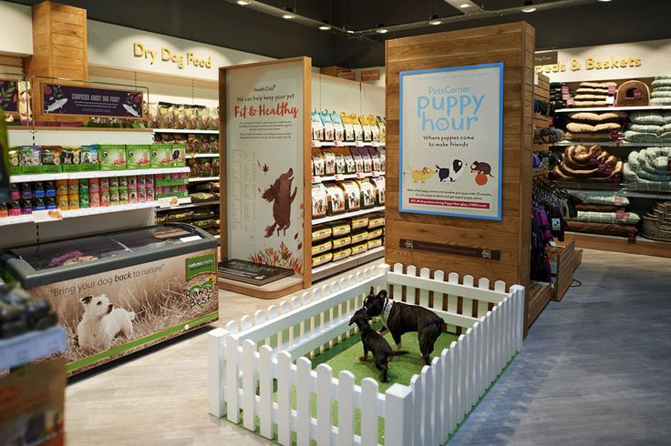 a dog in a pet store next to its kennel