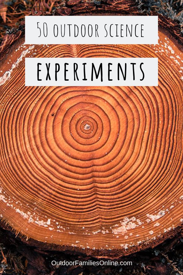 a tree stump with the words, 50 outdoor science experiments