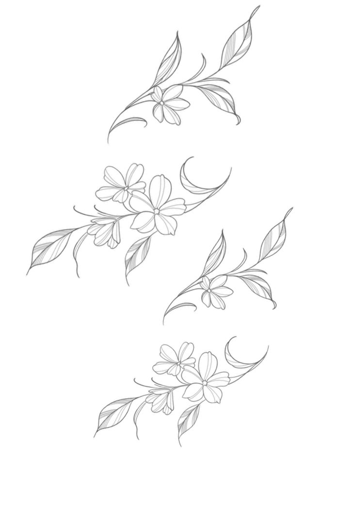 some flowers that are on the side of a white wall and one is drawn in black ink