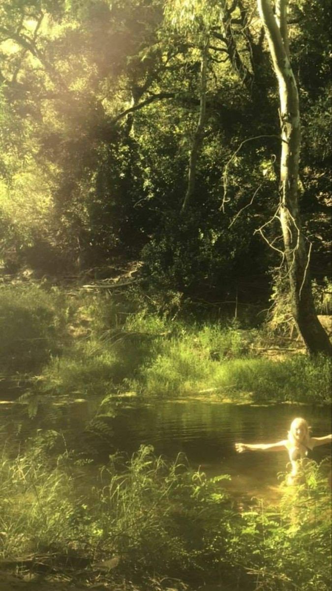 a person is swimming in the water near some trees and grass with sun shining through