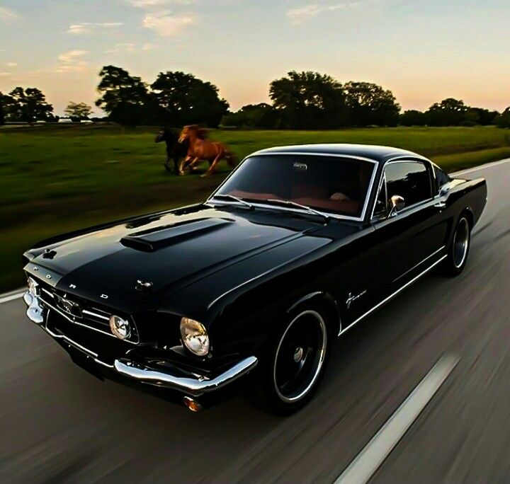 a black mustang driving down the road with a horse in the background