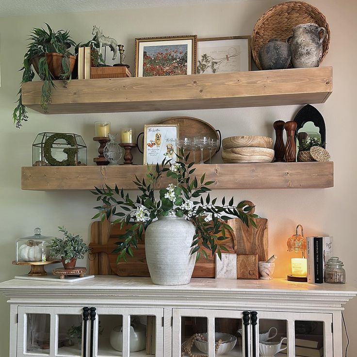 some shelves with plants and pictures on them