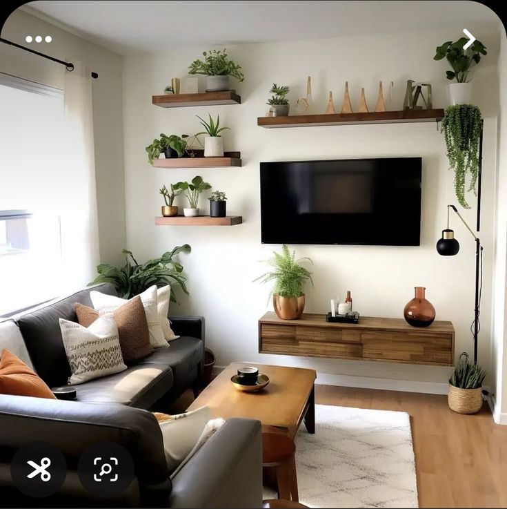 a living room filled with furniture and lots of plants on top of the wall mounted flat screen tv