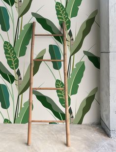 a ladder stands in front of a wall with green leaves on it and a white background