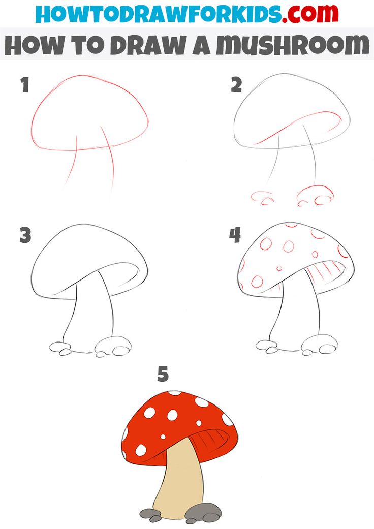 how to draw a mushroom step by step with pictures for kids and beginner children