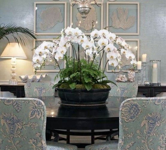 a dining room table with chairs and a potted plant on top of the table