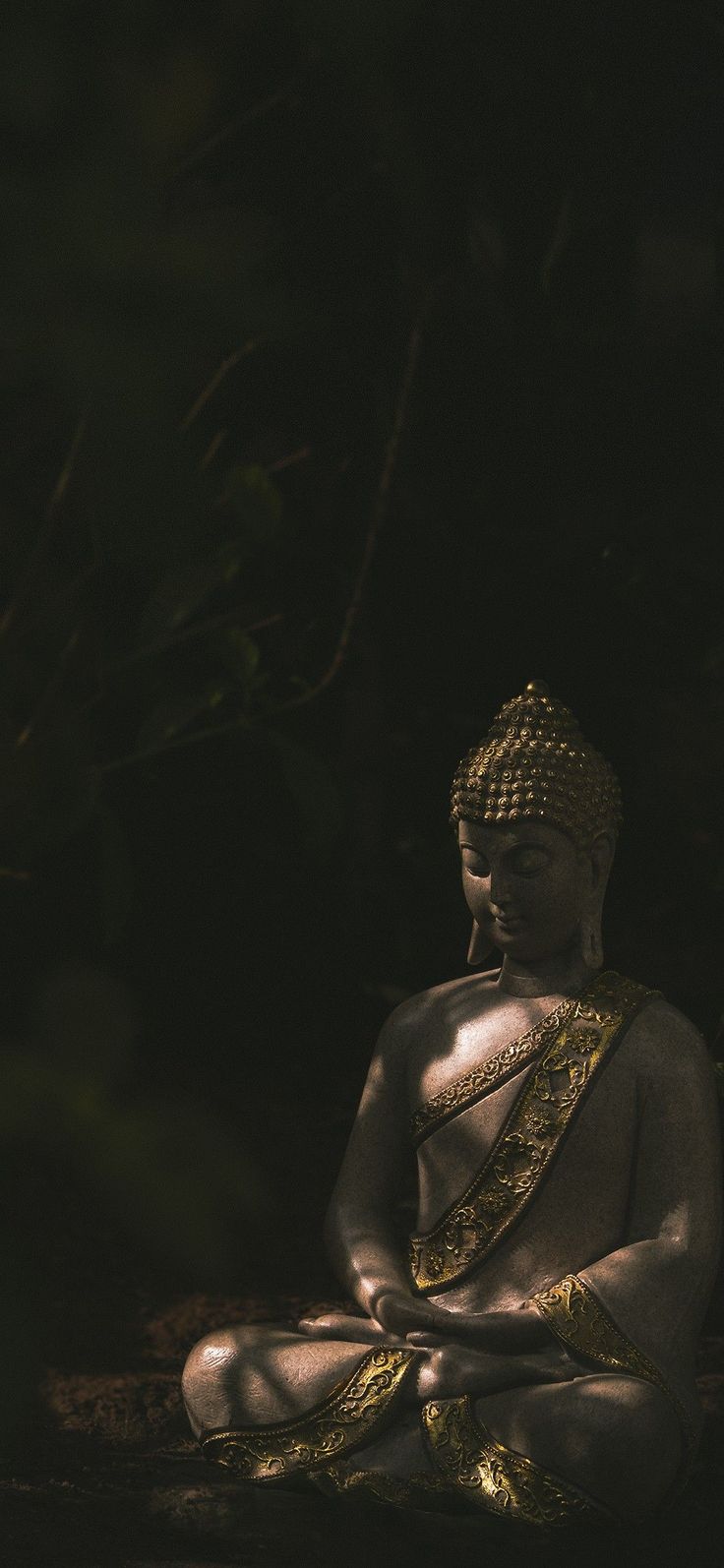 a buddha statue is sitting in the dark