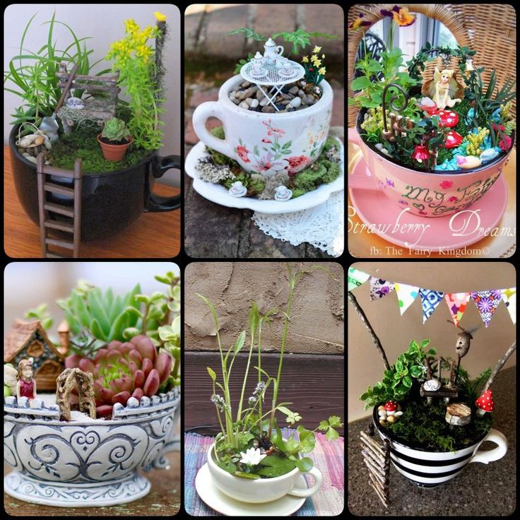 there are many different pictures of plants in the same potted planter, and one has a tea cup on it