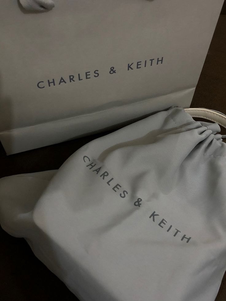 Charles And Keith Aesthetic, Fake Gifts Story, Rich Girl Vibes, Charles And Keith Bags, Fake Gifts, Businesses Ideas, Charles And Keith, Board Outfit, Vision 2025