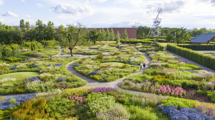 the garden is full of colorful flowers and plants