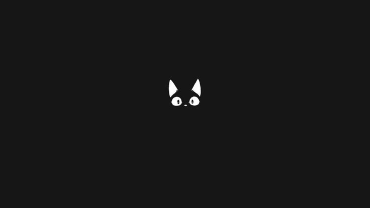 a black and white image of a cat's face with eyes wide open in the dark