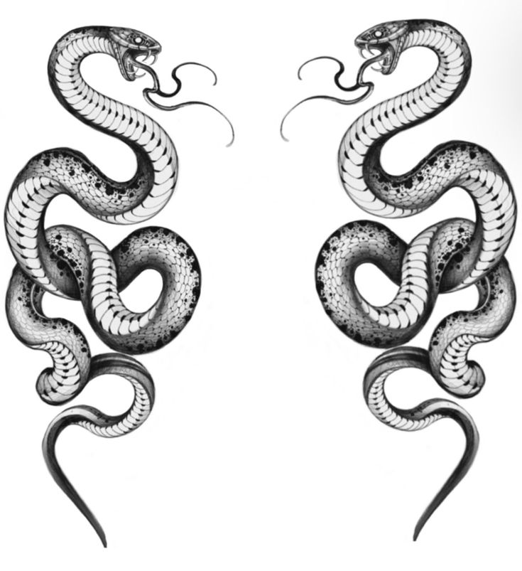 two black and white snakes are shown in this tattoo art print on paper, with the same