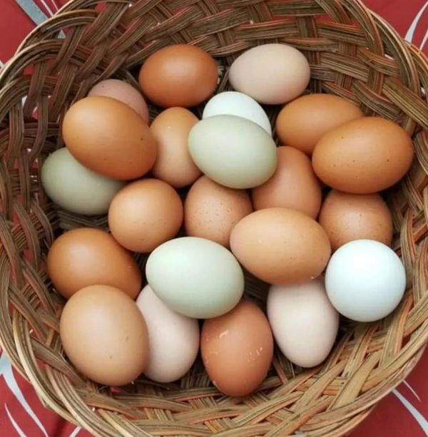 a basket filled with brown and white eggs sitting on top of a red table cloth