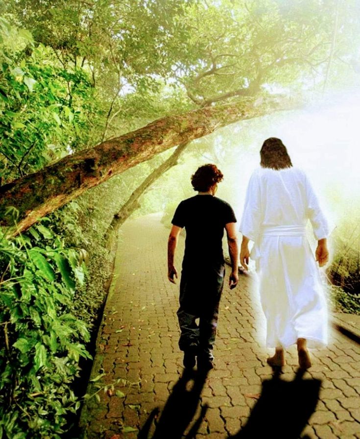 two people walking down a path with trees in the background and sunlight streaming through them