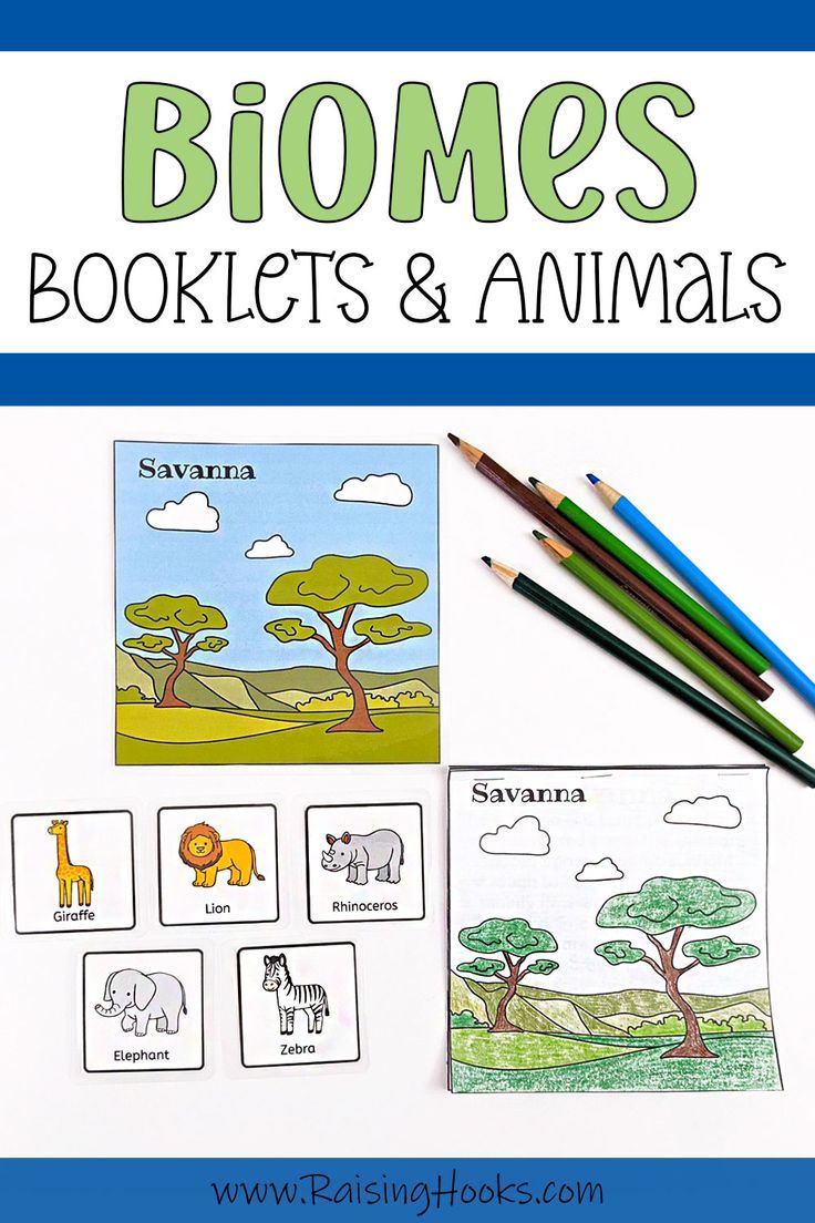 the book cover for biomes booklets and animals with pencils next to it