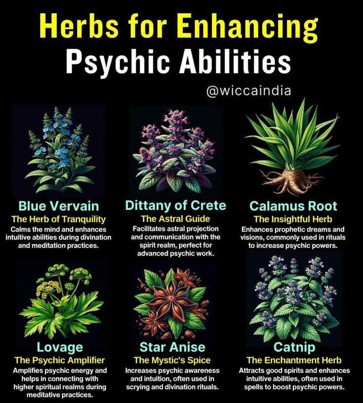 Wiccan Rede, Magickal Herbs, Witch Herbs, Medical Herbs, Magia Das Ervas, Magic Herbs, Spell Jar, Magical Herbs, Energy Healing Spirituality