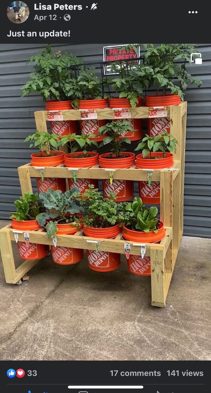 a wooden shelf filled with lots of potted plants