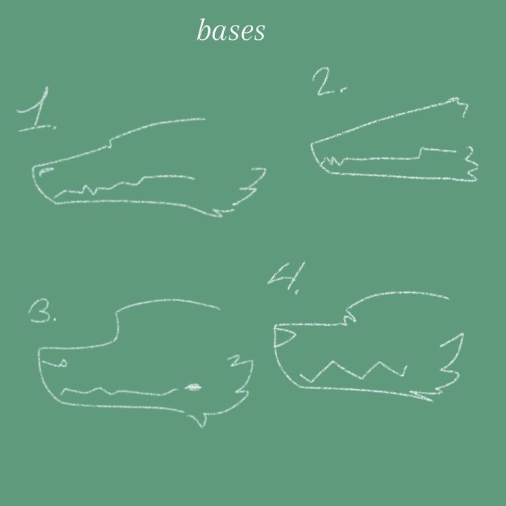 four different types of crocodiles drawn on a green board with the words bases written in white chalk