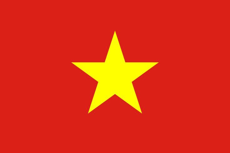 the flag of vietnam with a yellow star