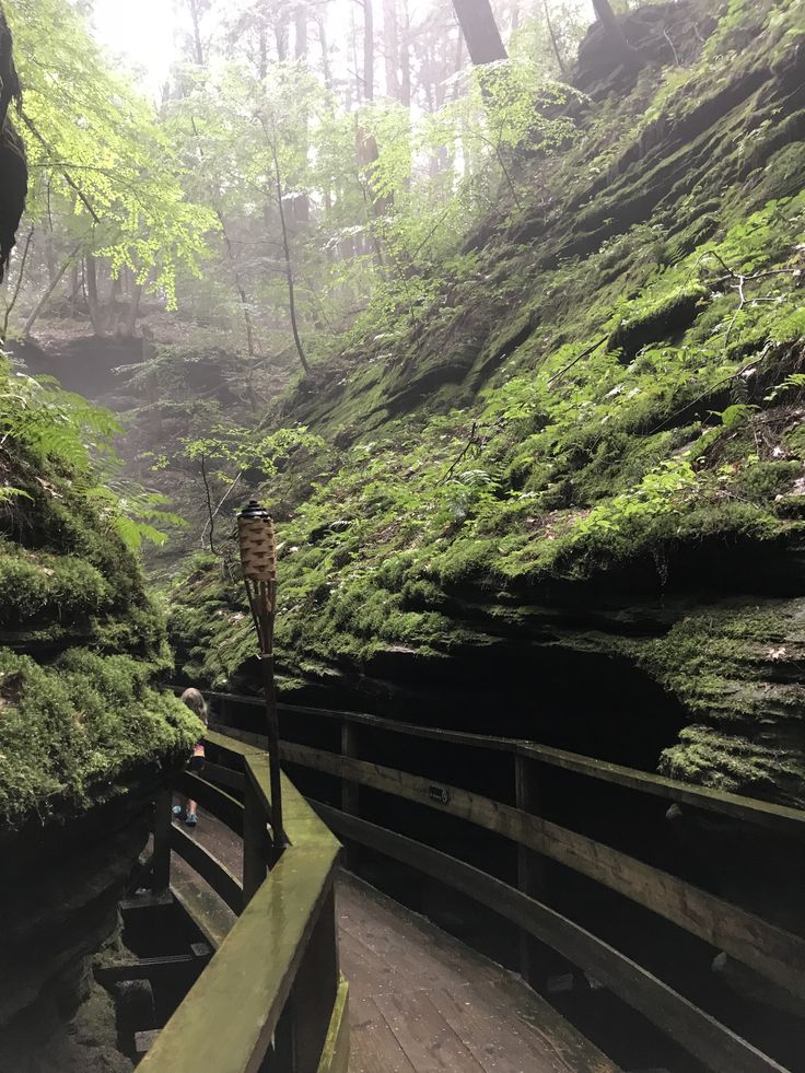 a person standing on a bridge in the middle of a forest with moss growing on it