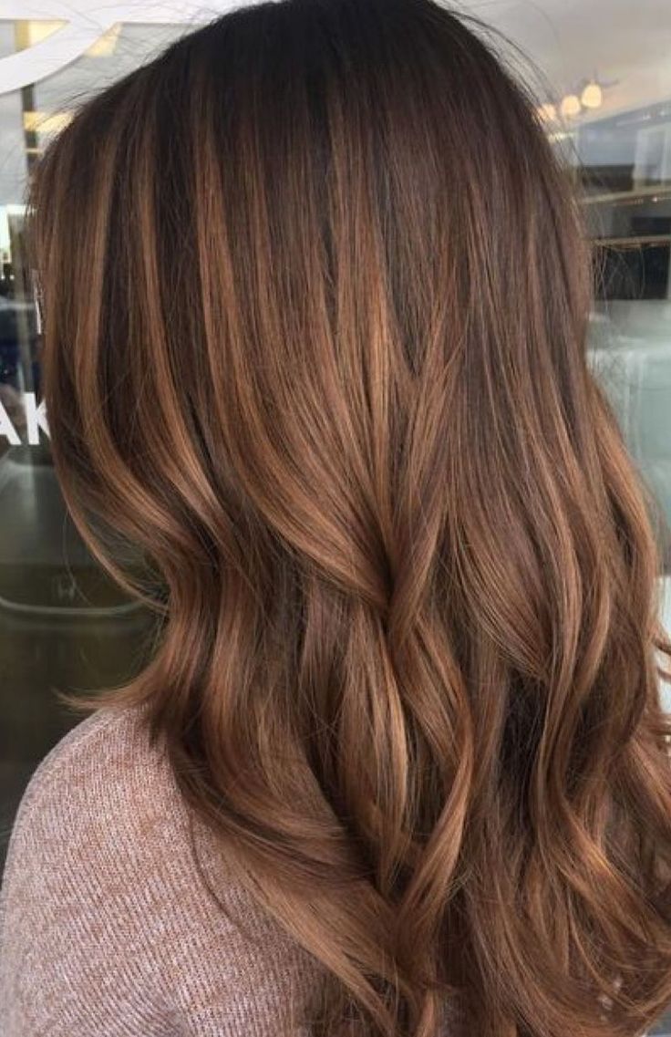 Hazelnut Hair Color, Hazelnut Hair, Hairstyles For All Hair Types, Chestnut Hair, Chestnut Hair Color, Honey Brown Hair, Brown Hair Inspo, Hair Color Auburn, Caramel Highlights