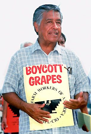 an older man holding a sign that says boycott grapes