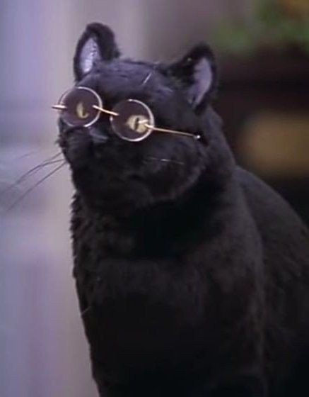 a black cat with glasses on it's head