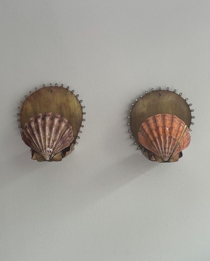 two seashells mounted to the side of a wall